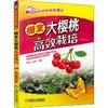 棚室大樱桃高效栽培 商品缩略图0