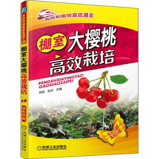 棚室大樱桃高效栽培 商品图0