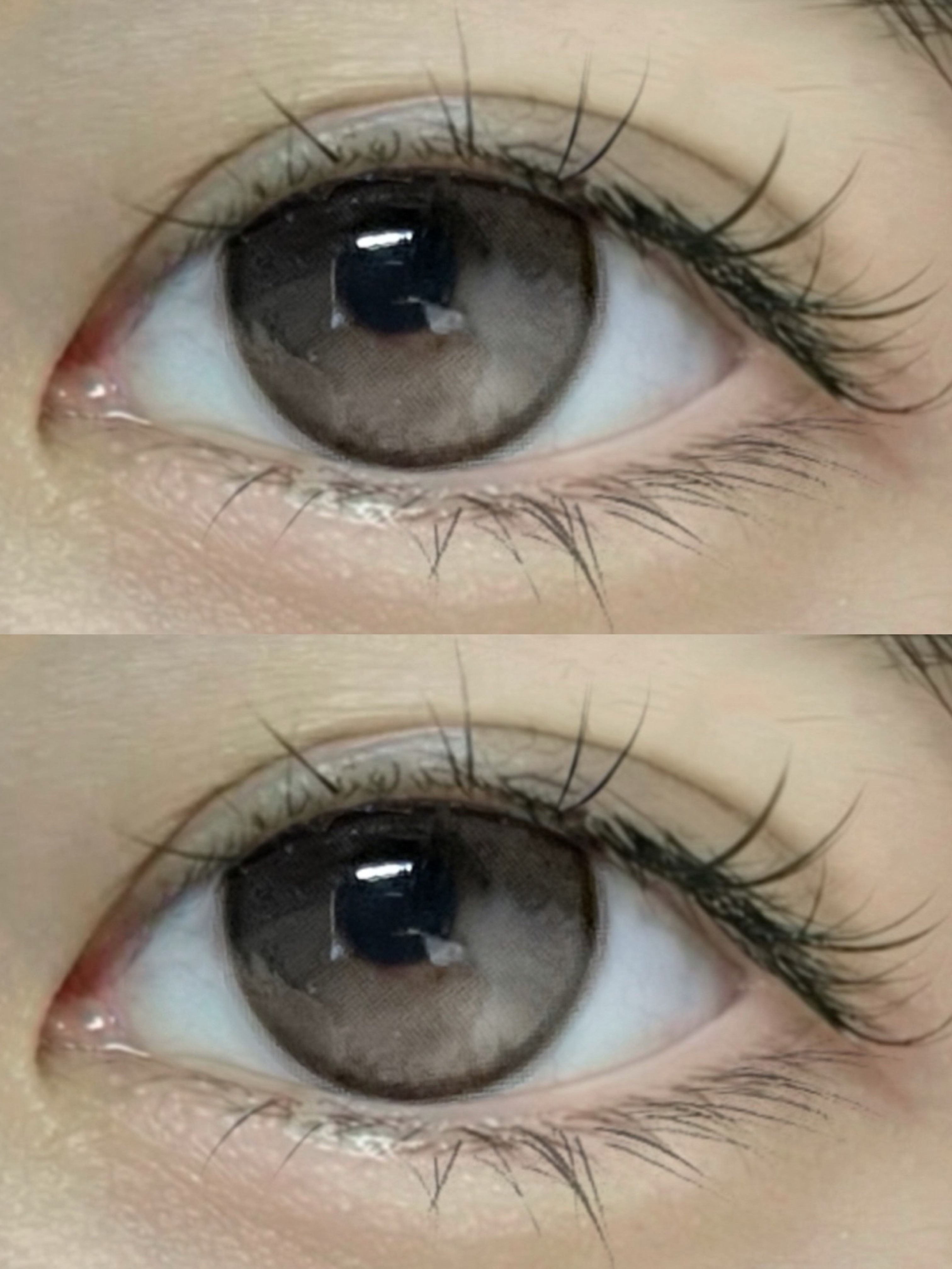 OCEANBROWN栗子宝贝「含硅水凝胶」年抛型