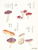 Mushroom Postcards/蘑菇明信片 商品缩略图4