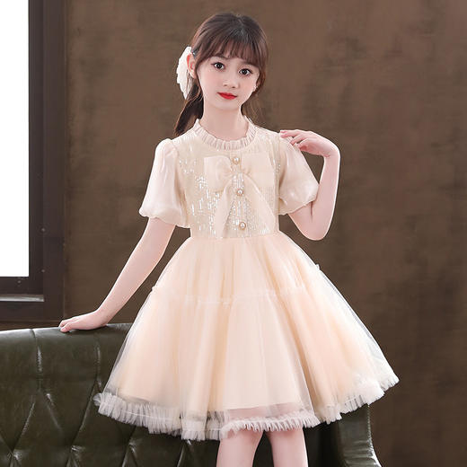 女童洋气连衣裙新款蓬蓬纱裙短袖礼服裙 DY6920 商品图6