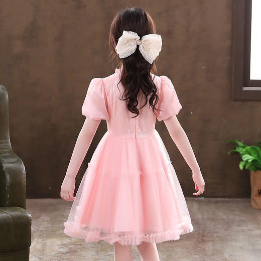 女童洋气连衣裙新款蓬蓬纱裙短袖礼服裙 DY6920 商品图2