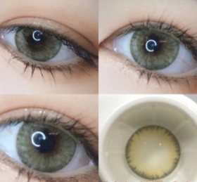 Bebebest cedar （日抛）