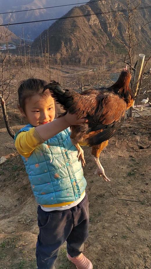 活动预约～木木家农场 商品图8