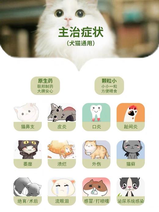速诺猫鼻支感冒喷嚏咳嗽消yan药片克拉维酸钾猫狗通用50mg 商品图5