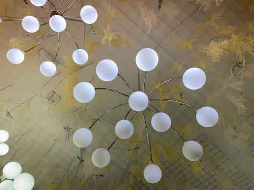 12头蒲公英吊灯（运费自理） 商品图0