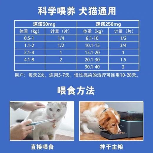 速诺猫鼻支感冒喷嚏咳嗽消yan药片克拉维酸钾猫狗通用50mg 商品图3