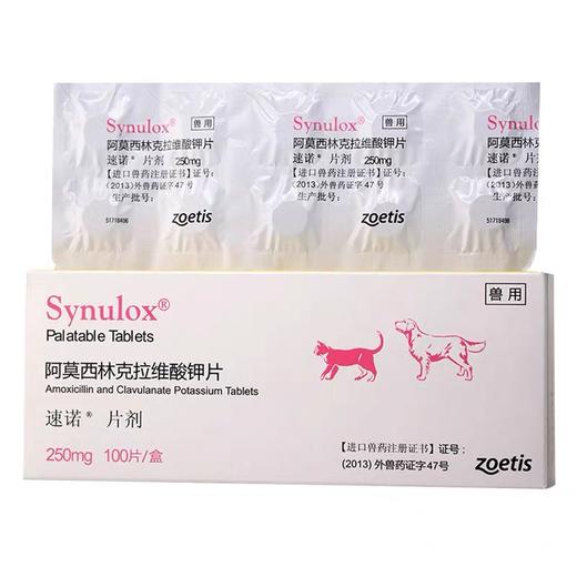 速诺猫鼻支感冒喷嚏咳嗽消yan药片克拉维酸钾猫狗通用50mg 商品图4