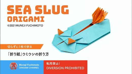 【海洋生物】海蛞蝓 商品图0