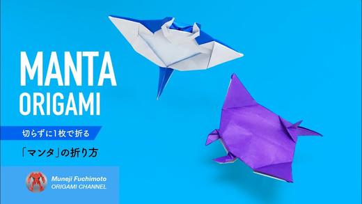 【海洋生物】蝠鲼 商品图0