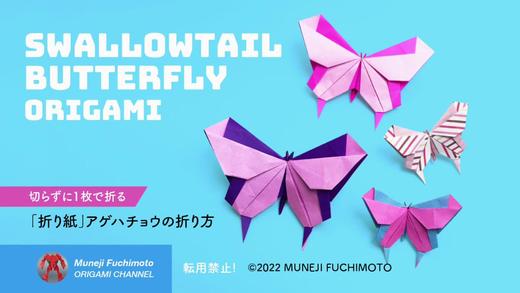 【昆虫】蝴蝶 商品图0