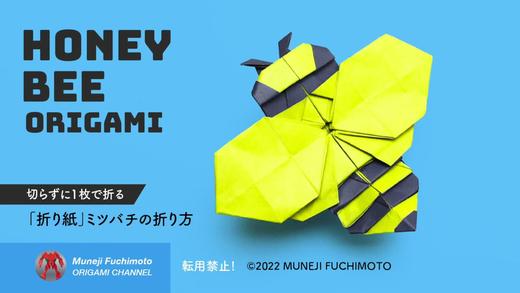 【昆虫】蜜蜂 商品图0