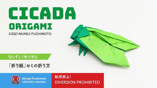 【昆虫】青蝉 商品图0