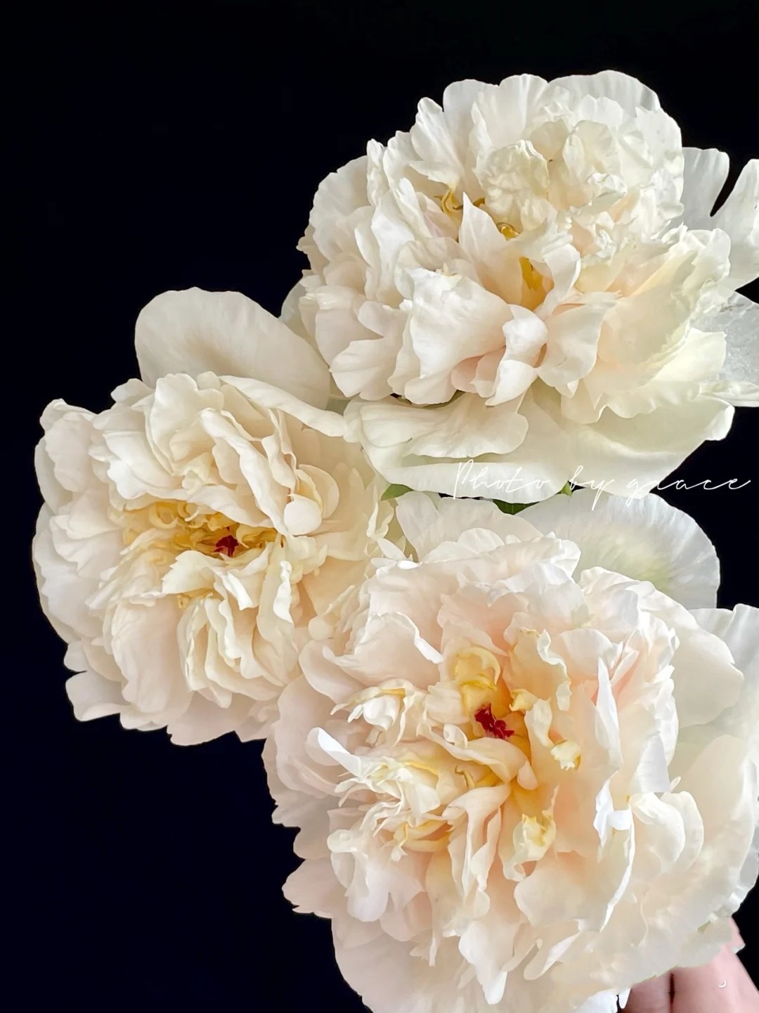 images