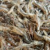 生态小青虾（小河虾） | 合作生产*Eco-Small  shrimp | Coproduct 商品缩略图1