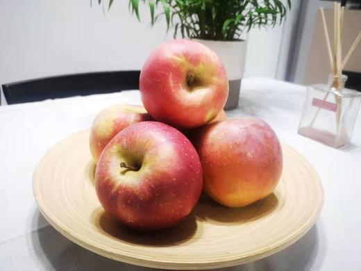 XZG-山西丑苹果-中大果-约4斤 商品图1