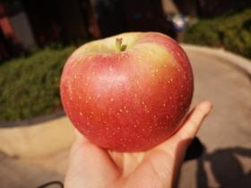 XZG-山西丑苹果-中大果-约4斤