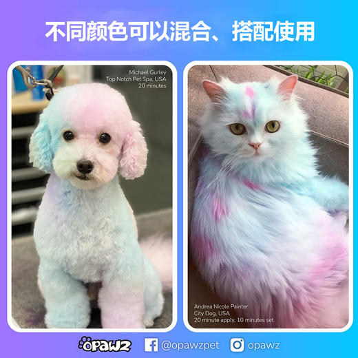 宠物染色香波-黄色 500ml OPAWZ小爪印 商品图6