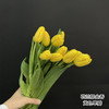 荷兰黄色单瓣郁金香10支 商品缩略图0