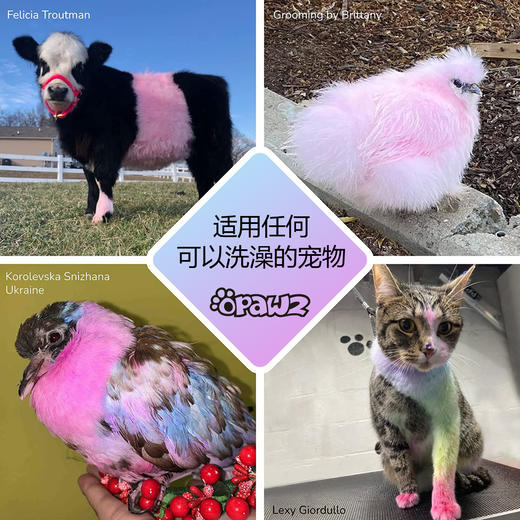 宠物染色香波-黄色 500ml OPAWZ小爪印 商品图4