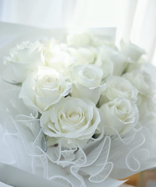 【 拍市玫瑰】骄傲  10枝/扎   约60公分 商品图2