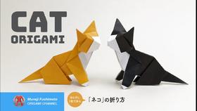 【动物】猫