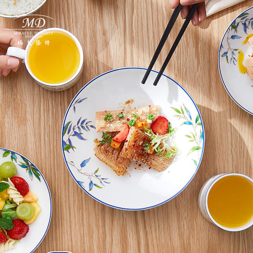 【玛戈隆特】B7F 骨瓷餐具套装碗碟套装 轻奢中国风中式家用碗盘碟 礼盒礼品包装 32头鹦鹉 商品图5