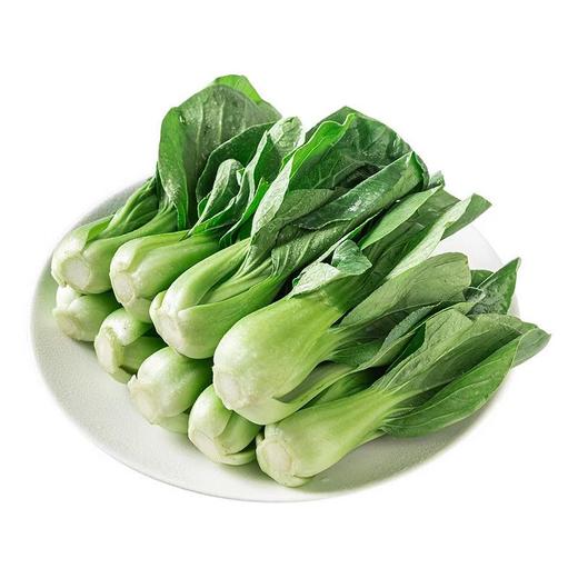 蔬菜上海青油菜约500g份