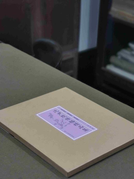 《沈尹默条幅精品集》，盒装散页17张附一册解读，浙江人民美术出版社2022.3月版，定价198，售价158元。 商品图0