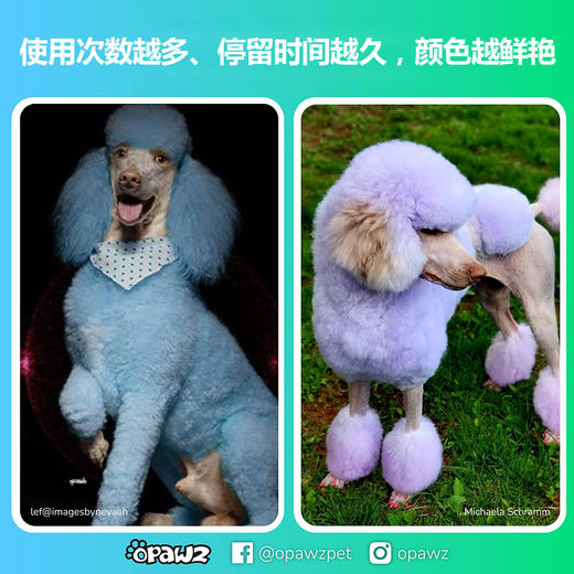 宠物染色香波-黄色 500ml OPAWZ小爪印 商品图7