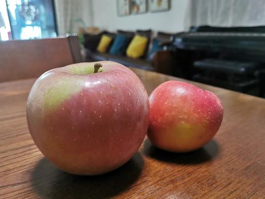 XZG-山西丑苹果-中大果-约4斤 商品图2