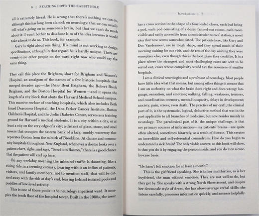 掉进兔子洞 人脑的奇妙之旅 英文原版 Reaching Down the Rabbit Hole Journeys into the Human Brain 英文版进口英语书 商品图2