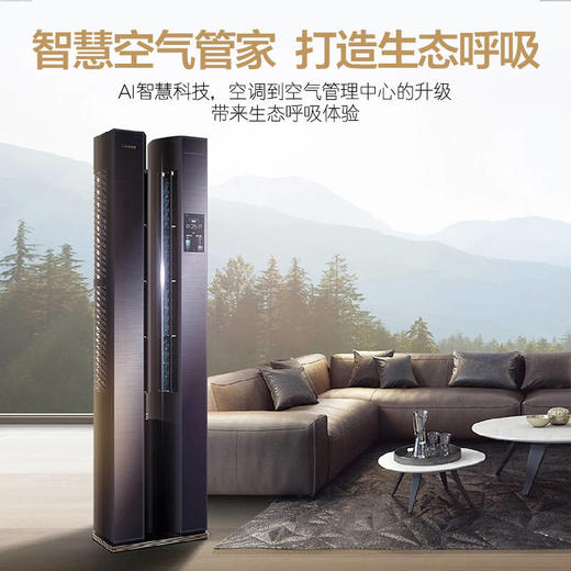 卡萨帝3匹 指挥家 变频 一级能效 AI人工智能 立式空调柜机CAP723WBA(81)U1 商品图3