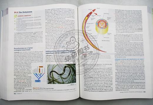 生物学 第11版 英文原版 Biology Eldra Pearl Solomon 英文版进口原版英语书籍 商品图1