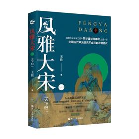 风雅大宋 一  天下归一 王佳 著 历史
