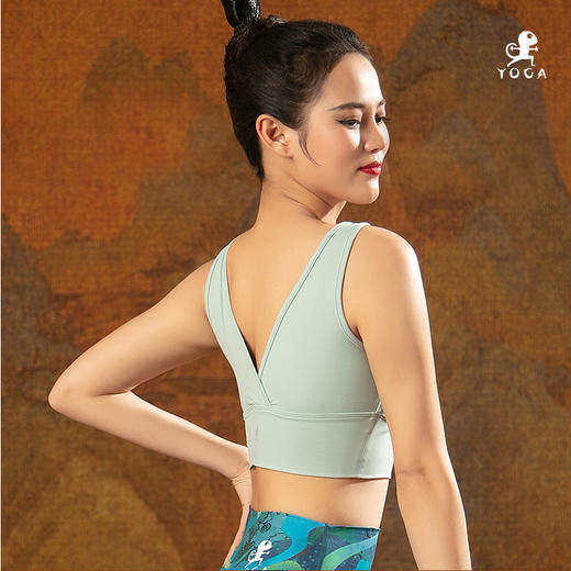 壁虎瑜伽【2204SY160】防震聚拢文胸（有胸垫）【七十二小时发货】 商品图3
