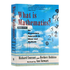 什么是数学 一种思想和方法的基本方法 英文原版 What Is Mathematics 英文版 进口原版英语书籍