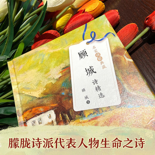 顾城诗精选 商品图3