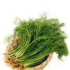 茴香菜1斤 500克±50克  【1斤起售】 商品缩略图0