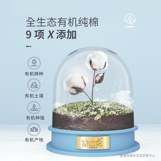 自由点有机纯棉迷你190日用10片 商品图2