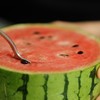 春玉西瓜 商品缩略图4