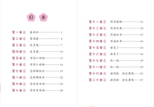 二年级下册 立小言作文课刘宪华•立小言 商品图1