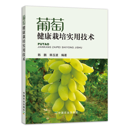 【中国农业出版社官方正版】葡萄健康栽培实用技术 9787109259010 葡萄健康栽培 葡萄栽培实用技术 葡萄栽培 葡萄栽培技术 葡萄 商品图0