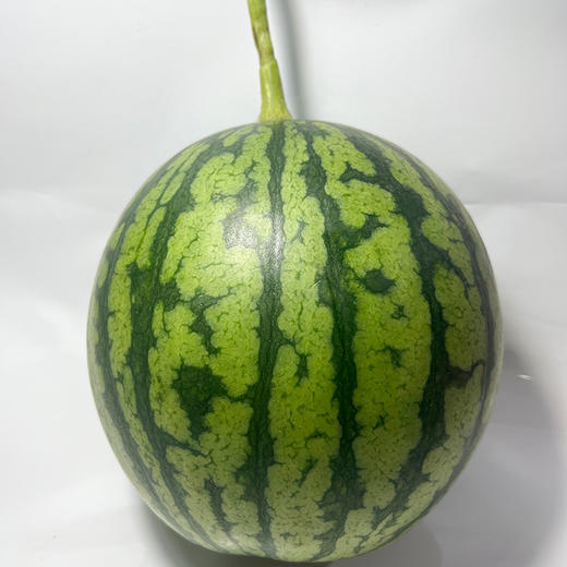 手剥纸皮小西瓜 商品图3