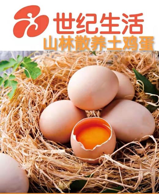 【BH】【WNX】山林散养土鸡蛋   6枚/盒 商品图0