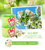 宜家固体芳香剂100g（茉莉 薰衣草 桂花） 商品缩略图2