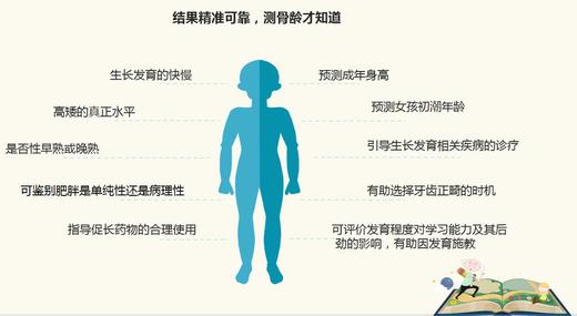 ⁷【身高管理】深圳身高门诊 -骨龄片解读 ZX07-CRMM-WLMZ 商品图9