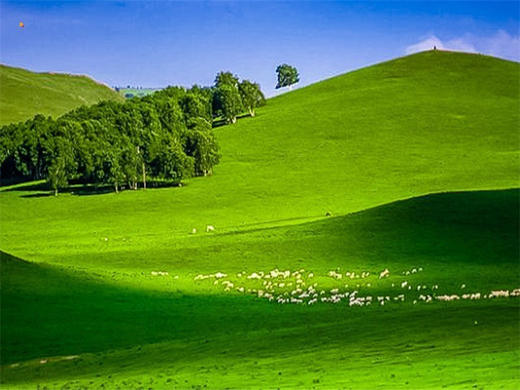 五一2日【坝上草原】越野车·京北第一草原·闪电湖·七彩森林·篝火 商品图2
