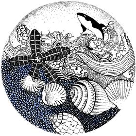 9-12岁《海的线条》线描【自动发货：下单后，点击手机短信中收到的链接，即可获取文件下载的链接；如有任何问题，可添加客服微信hm33268获得帮助】