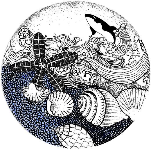 9-12岁《海的线条》线描【自动发货：下单后，点击手机短信中收到的链接，即可获取文件下载的链接；如有任何问题，可添加客服微信hm33268获得帮助】 商品图0